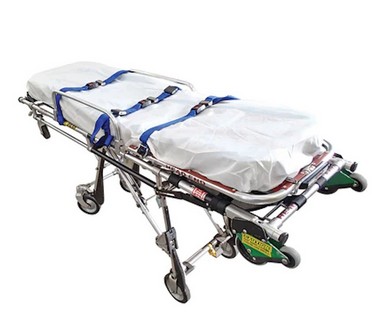 SHEET DISPOSABLE - 101cm x 238cm/10pk 2 SHEET DISPOSABLE - 101cm x 238cm/10pk 1